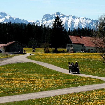 Haus Allgaeu Ruh Διαμέρισμα Görisried Δωμάτιο φωτογραφία