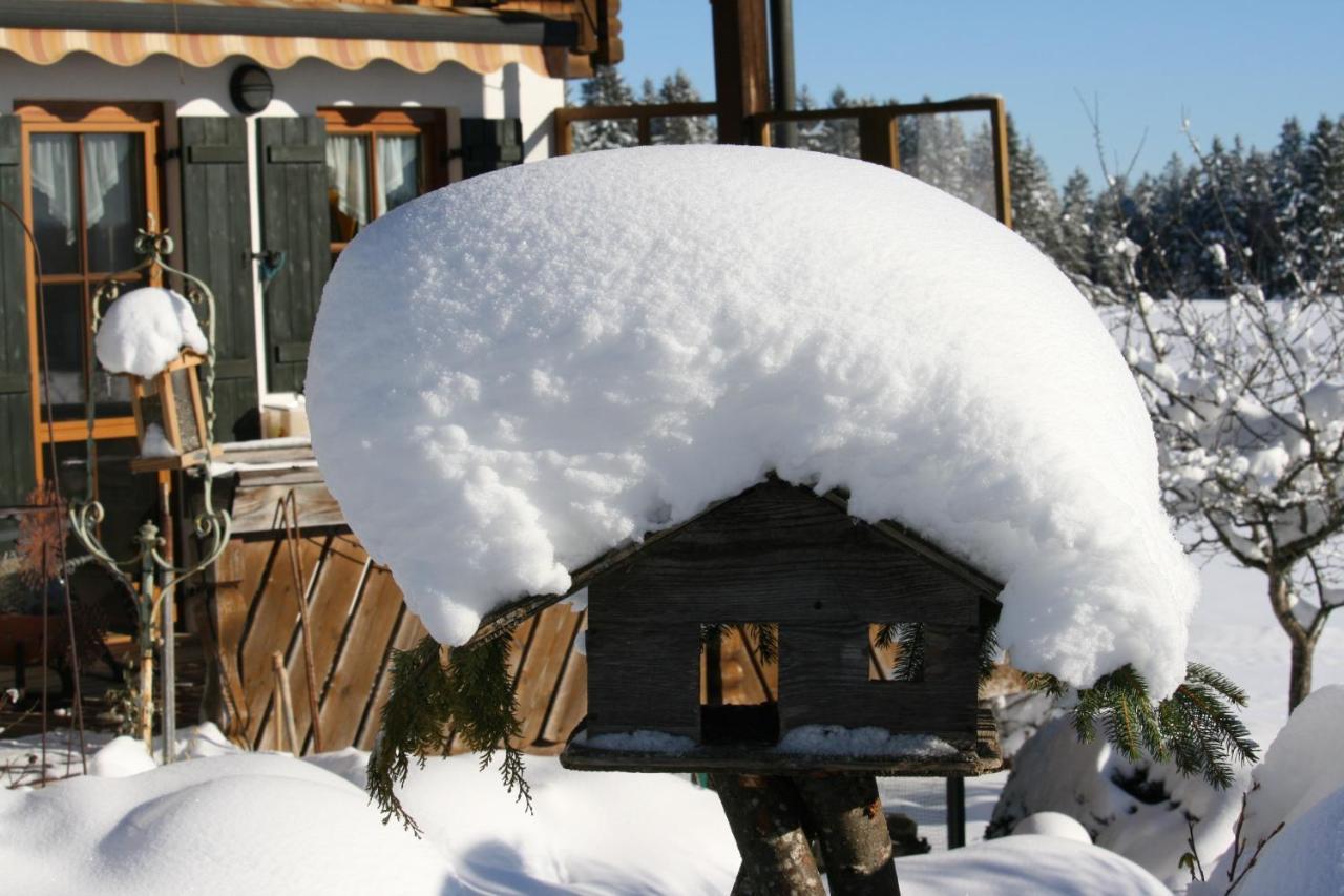 Haus Allgaeu Ruh Διαμέρισμα Görisried Εξωτερικό φωτογραφία