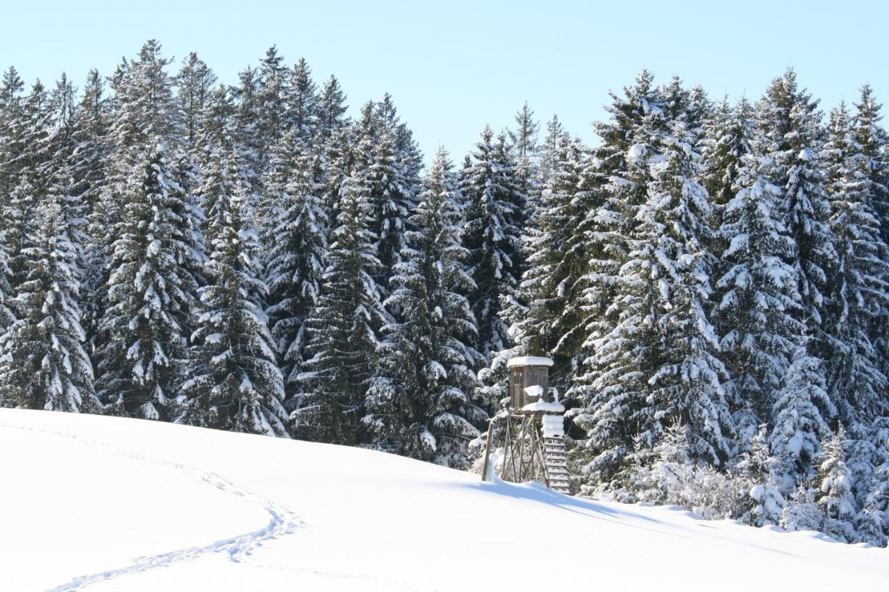 Haus Allgaeu Ruh Διαμέρισμα Görisried Εξωτερικό φωτογραφία