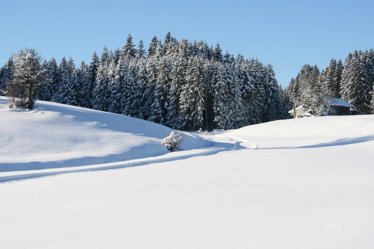 Haus Allgaeu Ruh Διαμέρισμα Görisried Εξωτερικό φωτογραφία