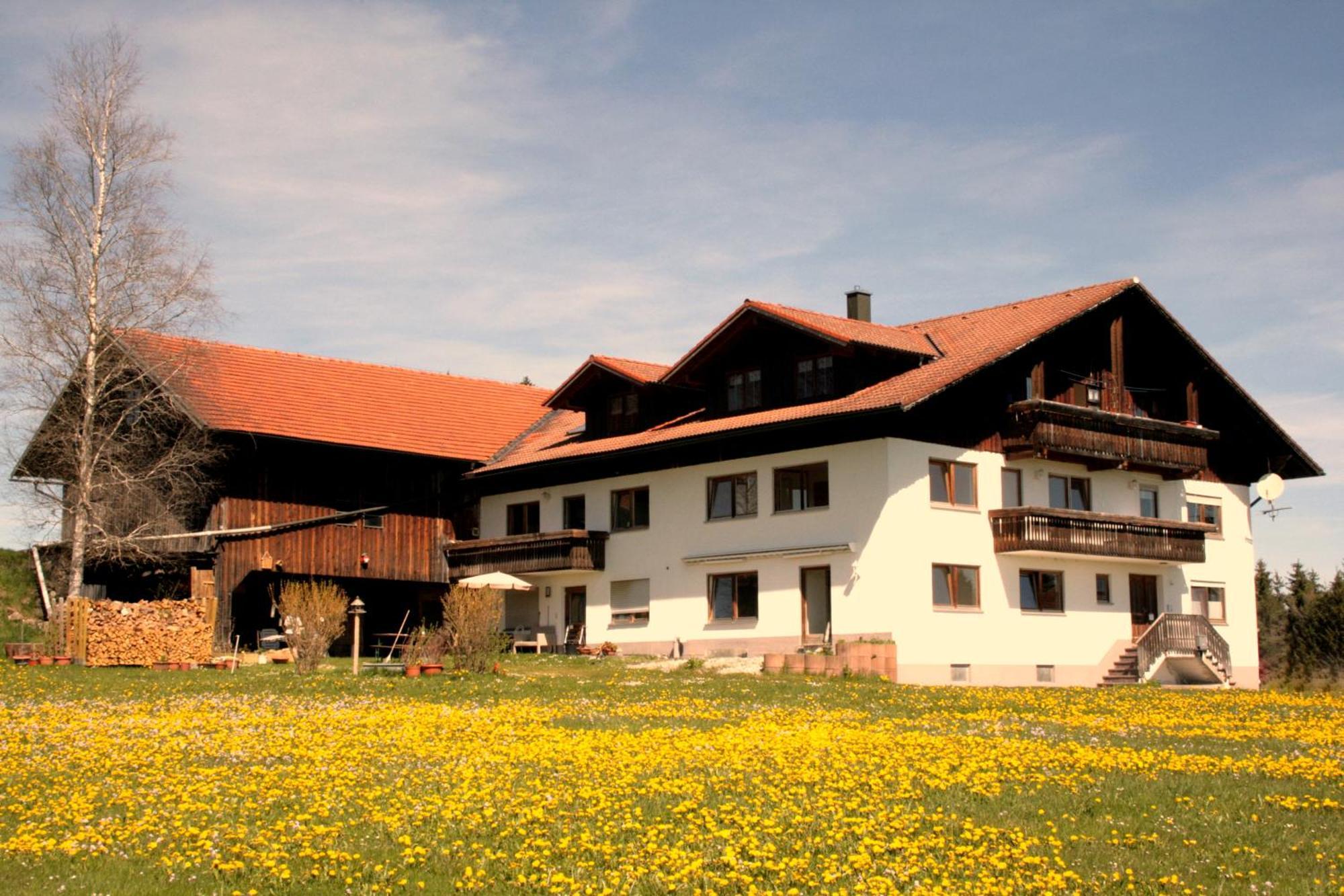 Haus Allgaeu Ruh Διαμέρισμα Görisried Δωμάτιο φωτογραφία